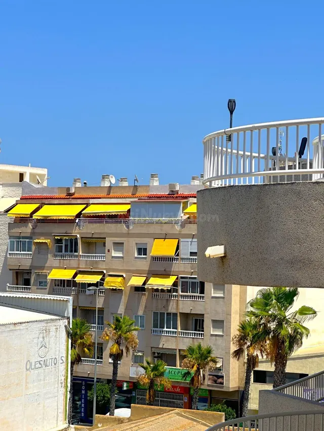 Estudio con terraza, Alicante, Torrevieja. 1 habitación, 36 m2, 900 metros al mar — 14