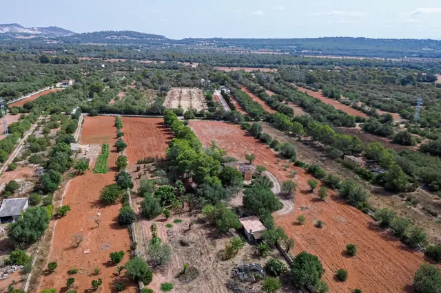 FINCA RÚSTICA EN VENTA EN CAMPOS - foto 5