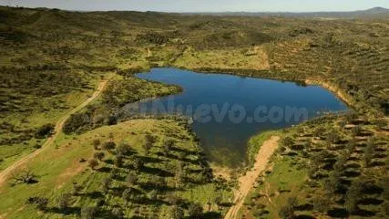 Finca rústica de 656 ha en Puebla de Guzmán (Huelva) — 5