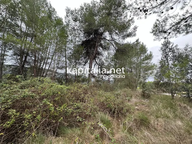 Parcela a la venta en Alfafara — 3