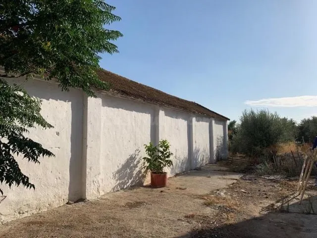 ZONA CORTIJO DEL RUBIO - Parcela de 6.000 m, casa de 200 m2  - foto 3