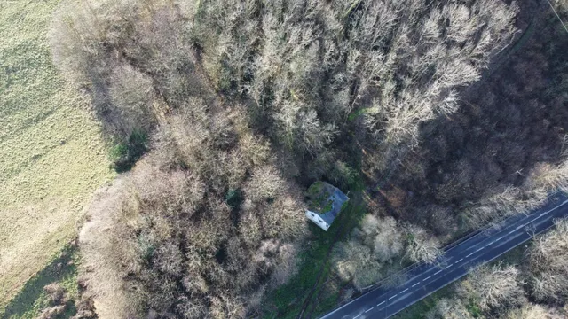 Oportunidad real: casa con parcela para rehabilitar en Tineo — 32
