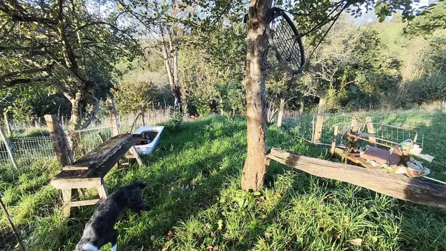 Casa reformada con terraza, finca de 750 m2 y cuadra, con vistas al Aramo — Morcín — 49