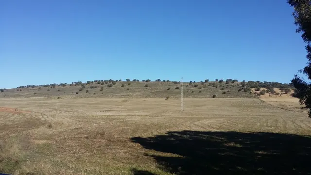 FINCA RÚSTICA ENTRE BELMEZ Y PEÑARROYA-PUEBLONUEVO — 2