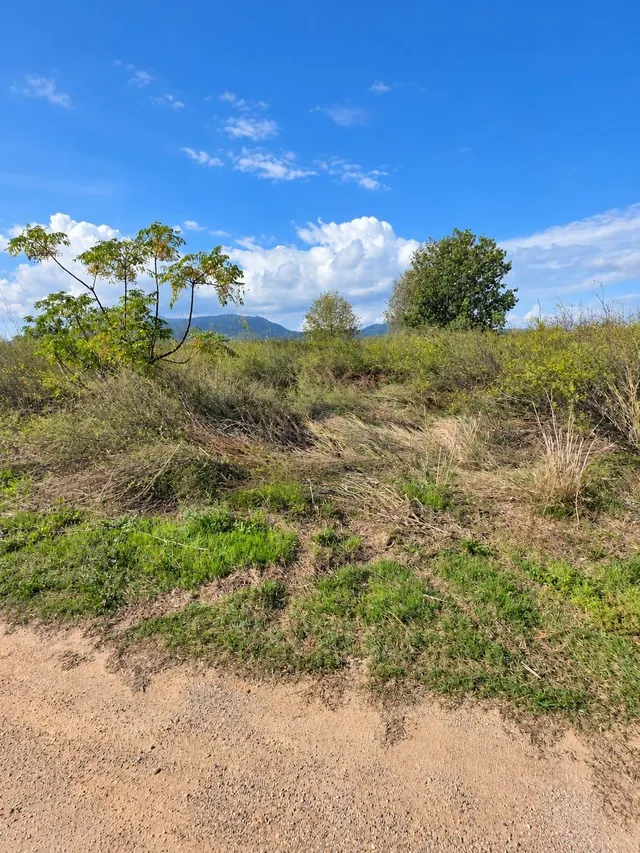 Finca rústica de 6.705 m2 en la zona de els ullals de baltasar, Amposta — 26