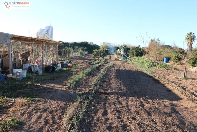Conjunto de parcelas en Canet de Berenguer (zona gasolinera) — 3