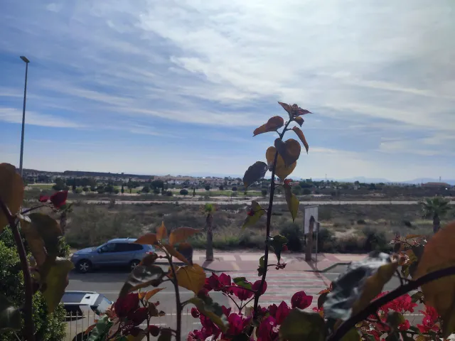 Apartamento 2 habitaciones en venta - Altaona golf and country village — 12