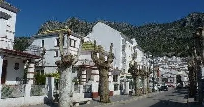 VENTA SOLAR EN EL ALGARROBAL - foto 4