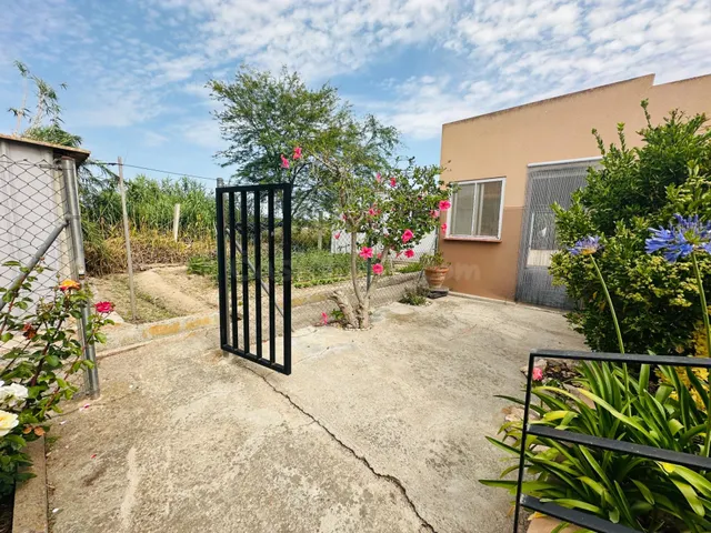 Casa en planta baja en el corazón del Delta del Ebro - foto 4