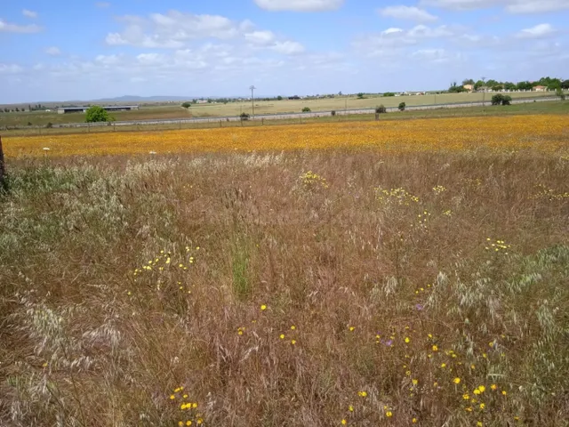 Parcela 20.000 m2 con 20 m2 de construcción con charca en Va - foto 4