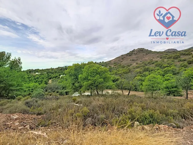 FINCA DE 10.400 M2 CON PISCINA EN SIERRA ESPUÑA — 120.000 € — 10