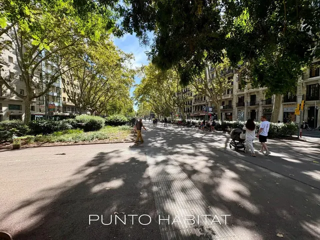 Reformado en El Camp d'en Grassot — 41