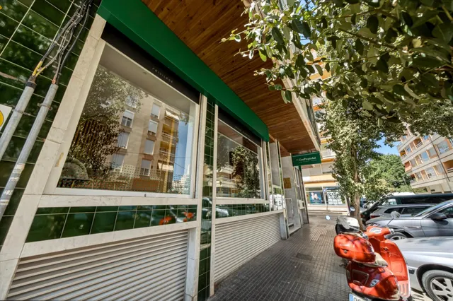Local comercial reformado en el corazón de Santa Catalina — 10
