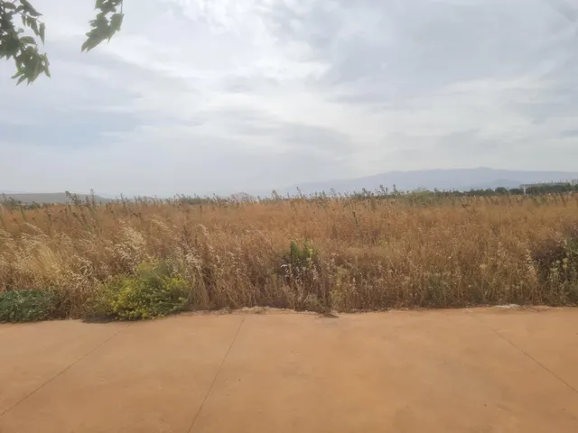 Terreno en venta en Escuzar  Parque Industrial Metropolitano — 12