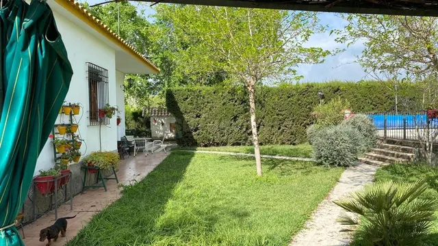 Casa con terreno 5 habitaciones 150m² en venta - Andalucia - foto 5