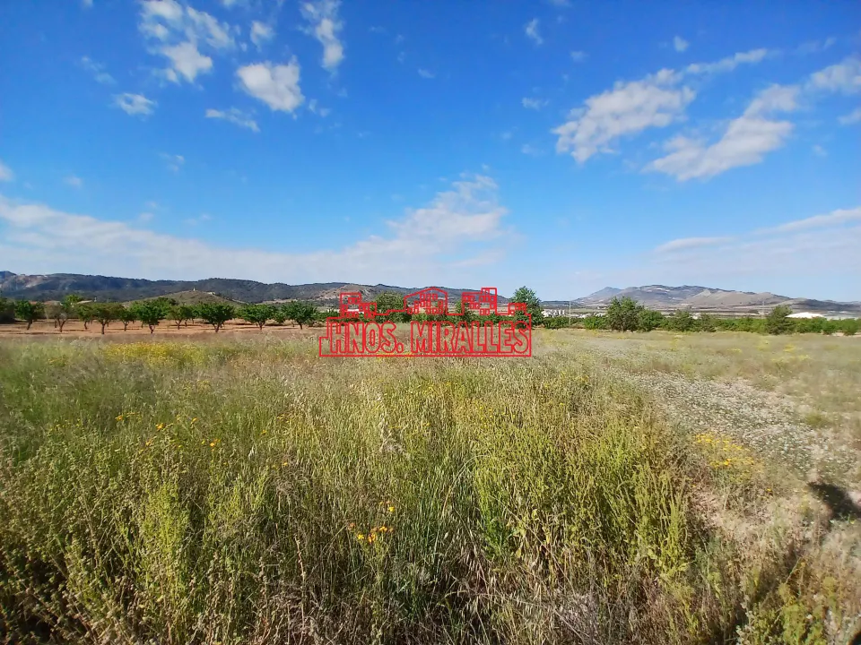 ¡¡ PRECIOSA PARCELA 1979 m2 EN LA ALGUEÑA !!