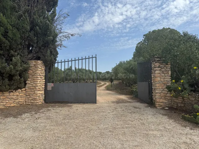 Finca exclusiva en Santa Oliva (Baix Penedès) - foto 3