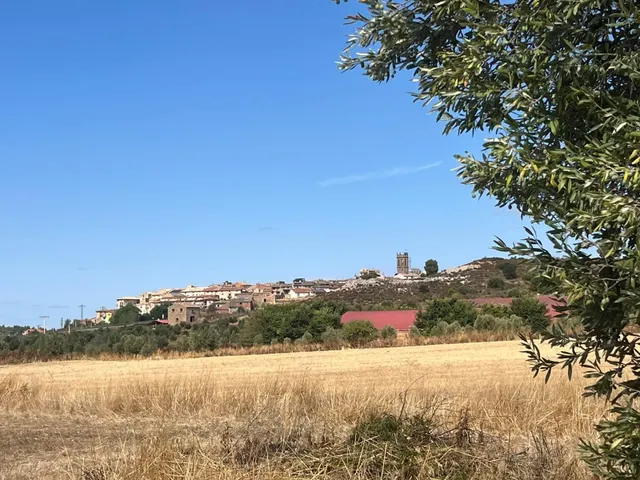 Finca rústica con vivienda en Cretas — 16