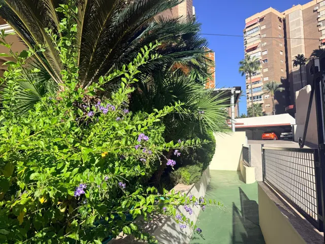 Fantástico piso de dos dormitorios en el centro de Benidorm — 32