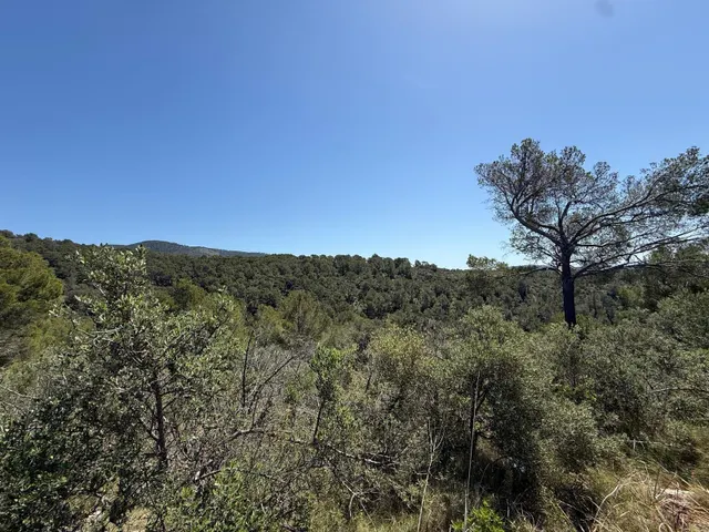 Finca única en plena naturaleza — 31