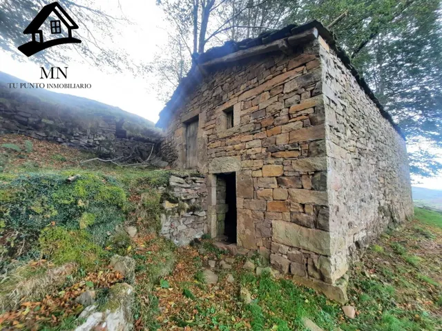 AMPLIA CABAÑA PASIEGA CON FINCA PRIVADA PARA REFORMAR EN SEL