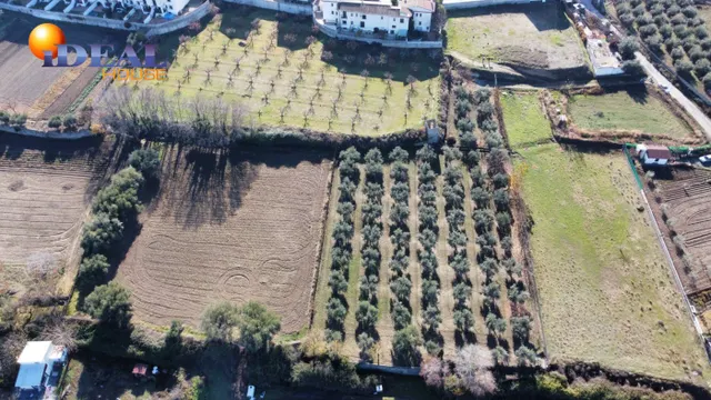 OLIVAR EN LA ZUBIA DE 3.597 M2 — 22