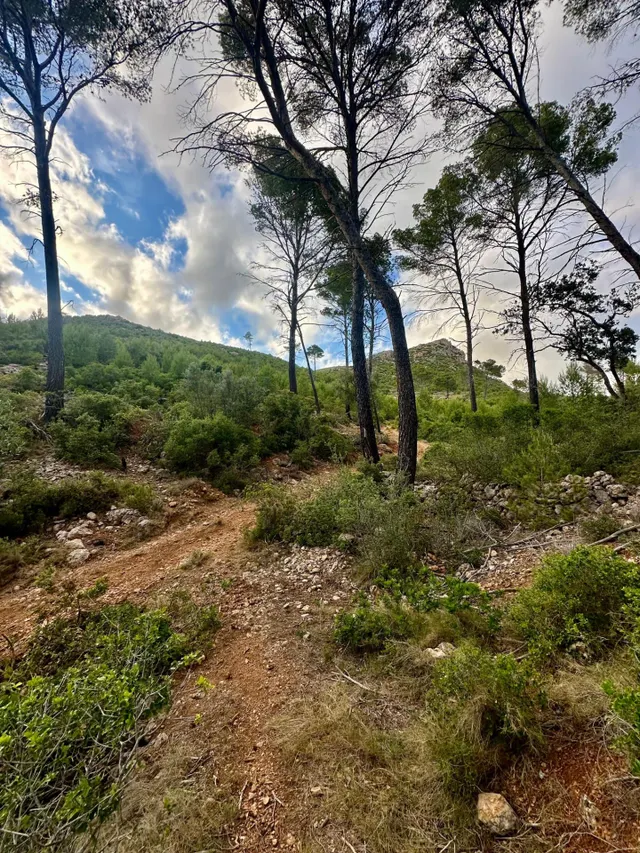 Terreno Rústico de 12.240 m2 en S’Arracó (Andratx) | Vistas al Mar, Cueva Natural y Pago Aplazado — 8