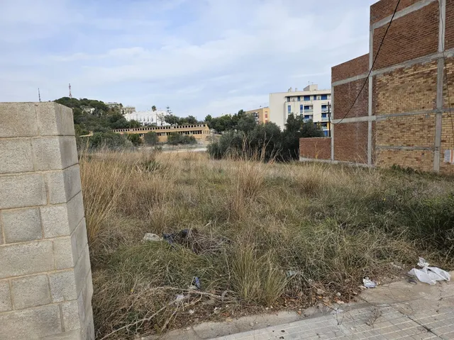 ALQUILER DE PARCELA EN LA RÀPITA - foto 3
