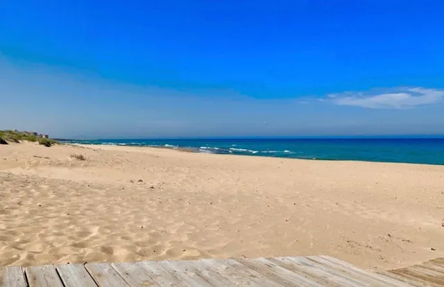 EXCLUSIVO APARTAMENTO EN PRIMERA LÍNEA EN Playa de La Mata — 42