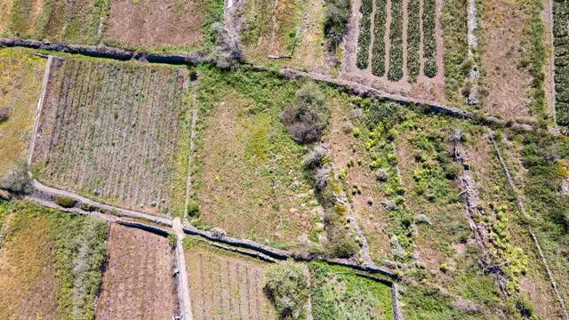 Suelo Rústico de Protección Agraria - foto 2