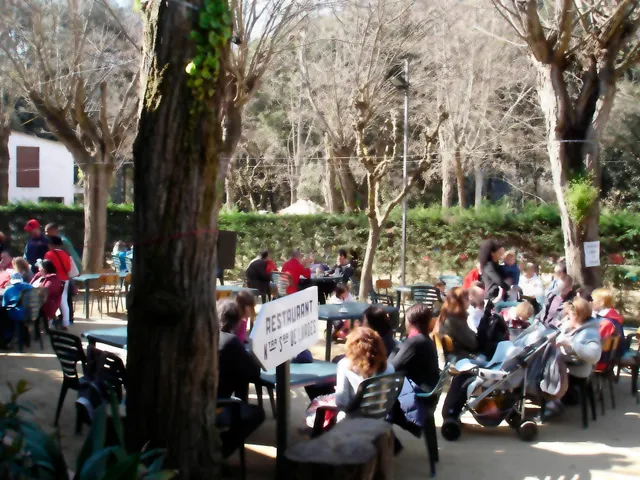 Finca rústica de 9 hectáreas en Arenys de Munt — 50