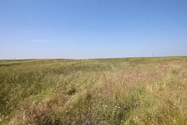 Terreno rural en venta - Alrededores - foto 4