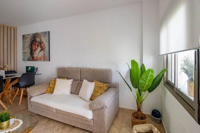 APARTAMENTO DE 2 DORMITORIOS 2 BAÑOS EN PILAR DE HORADADA — 5