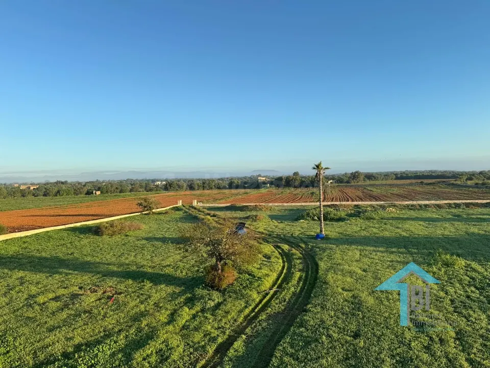 Terreno con proyecto básico en Felanitx.