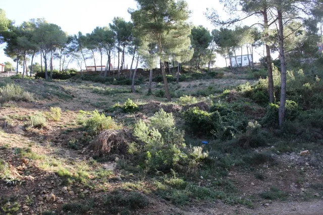 Parcela en Canyelles (Les Palmeres) — 2