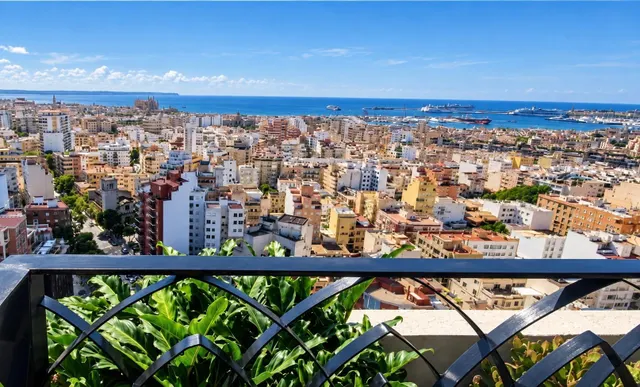 PISO EN PALMA CON VISTAS A LAS ZONAS MAS EMBLEMATICAS DE PAL - foto 4