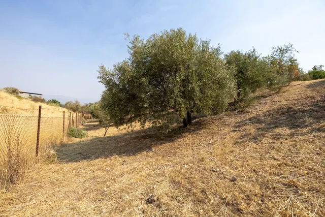 Encanto rústico con casita y olivos en Moraleja de Zafayona — 35