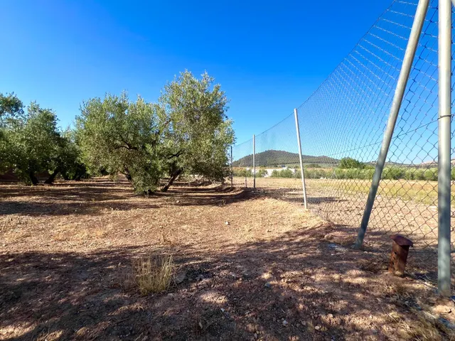 ALBOLOTE - PANTANO CUBILLAS — 50