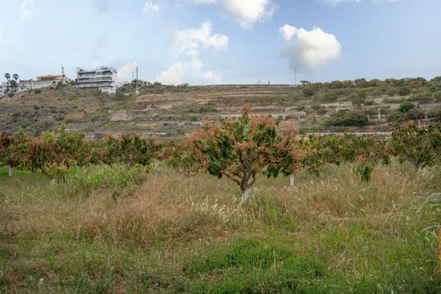 Finca con unas vistas de ensueño en Salobreña — 10