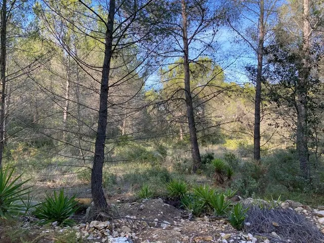 OPORTUNIDAD ENORME TERRENO EN VENTA POR 150.000€ — 33