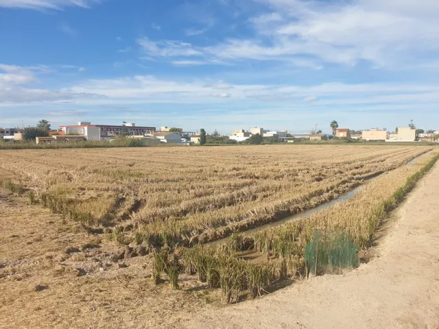 venta de 2 parcelas en SANT JAUME D'ENVEJA — 3
