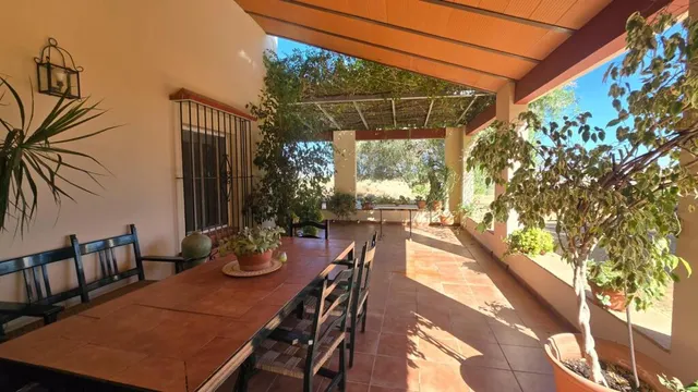 Magnífica casa de campo con piscina y vistas a Moguer, en fi - foto 3