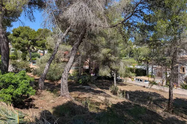 Parcela en venta - Pinar de Advocat-Cometa — 5
