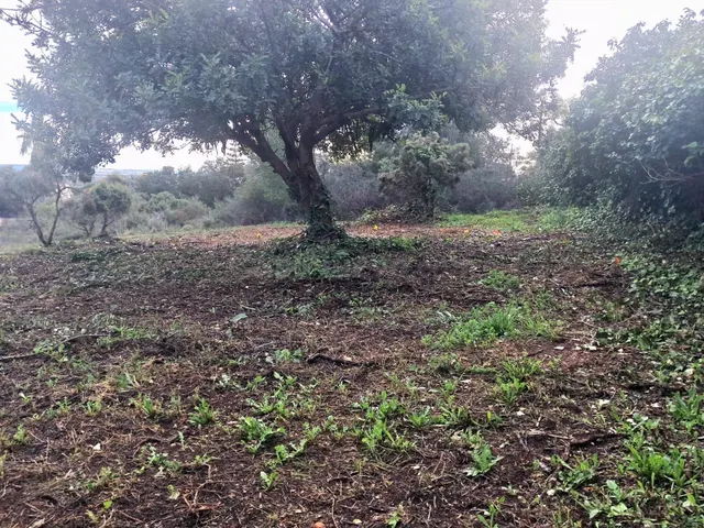 VENTA DE PARCELA URBANO EN LA POBLA DE VALLBONA - foto 5