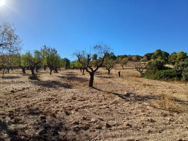 Finca rústica con maset en Arnes — 7