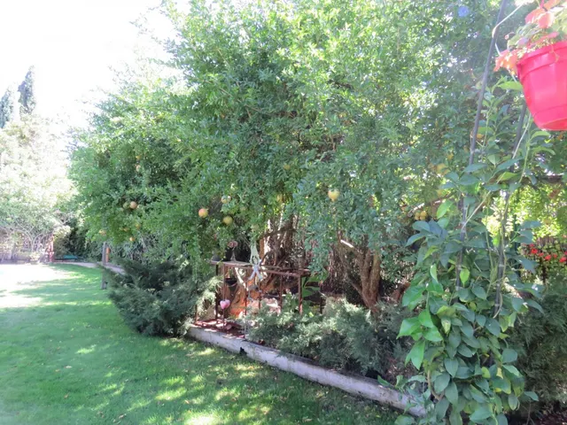 Chalet independiente en urbanizacion en la finca (pozuelo de alarcon - Madrid) — 35