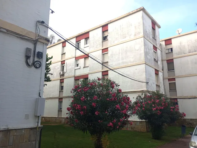Venta piso en San Roque — 6