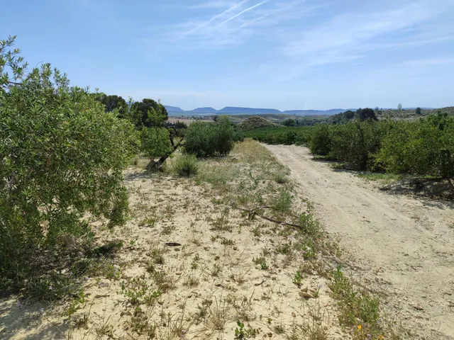 ¡Oportunidad Única! Finca de 55.000 m2 en Yéchar con Vistas  - foto 5