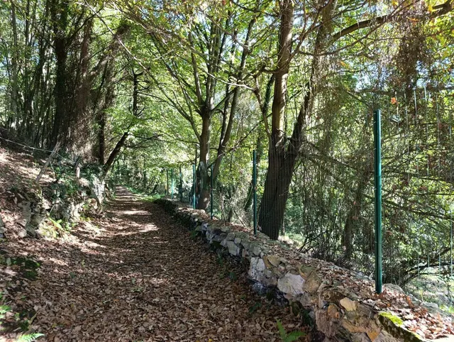 Terreno urbano en venta - Trubia — 50