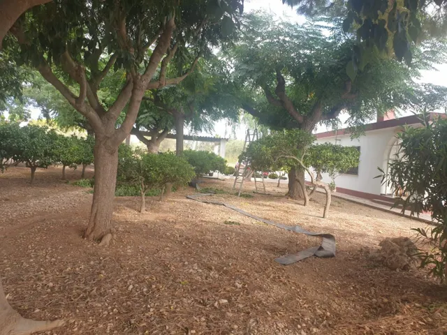 Terreno con 2 casas en Vinaros — 17